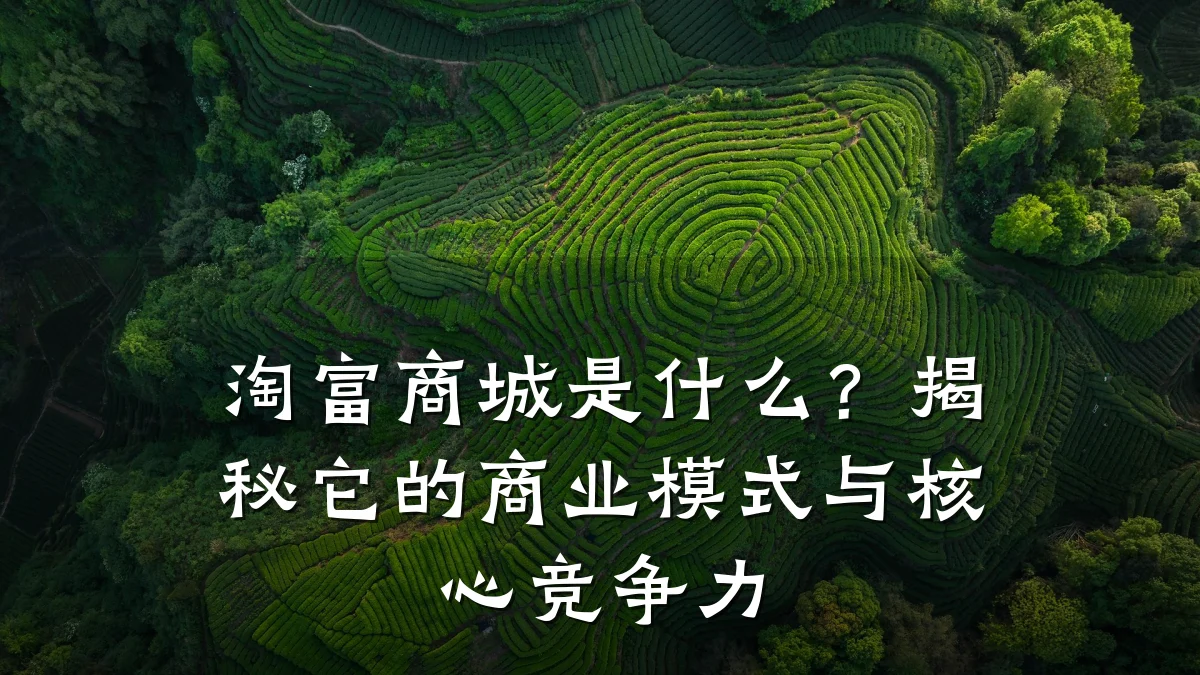 淘富商城是什么?揭秘它的商业模式与核心竞争力