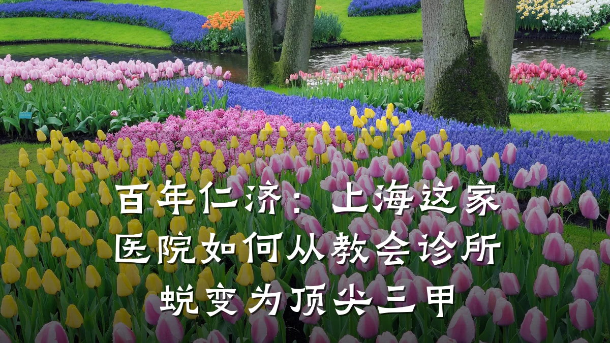 百年仁济:上海这家医院如何从教会诊所蜕变为顶尖三甲