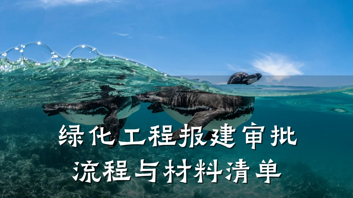 绿化工程报建审批流程与材料清单