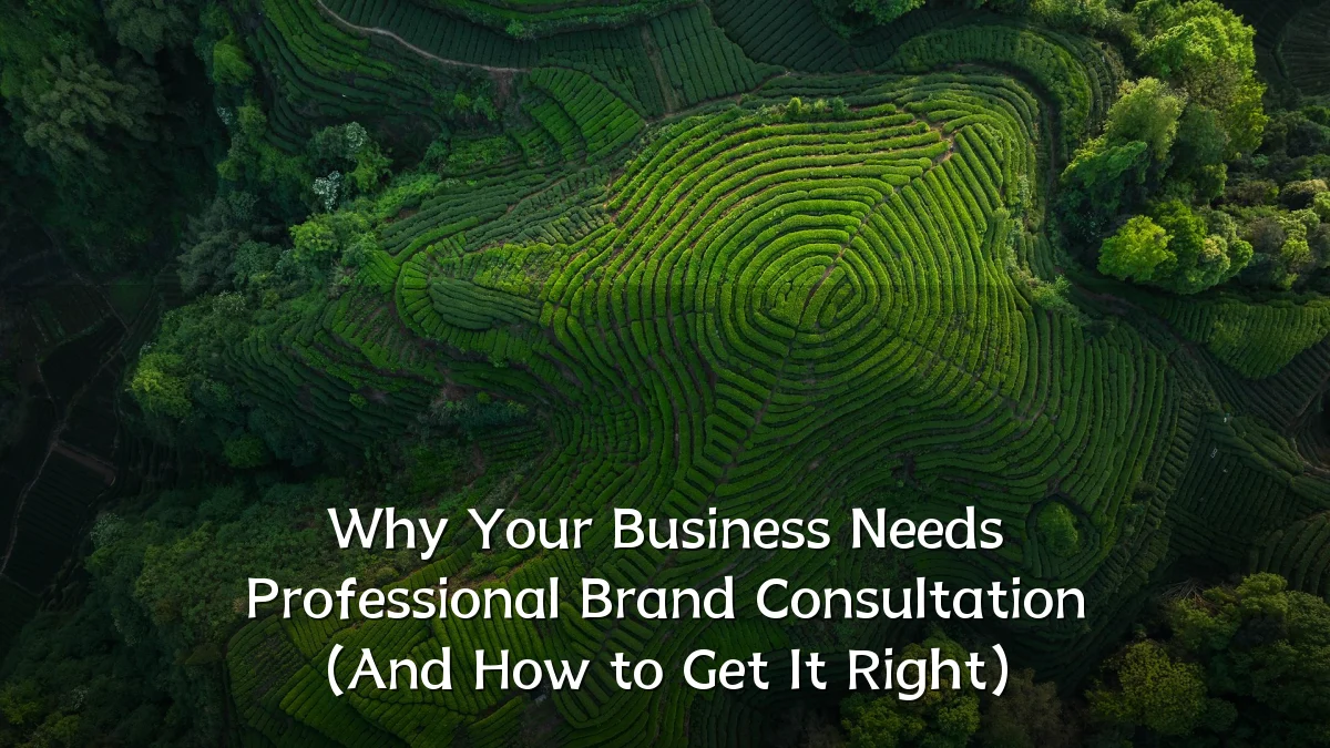 Why Your Business Needs Professional Brand Consultation (And How to Get It Right)