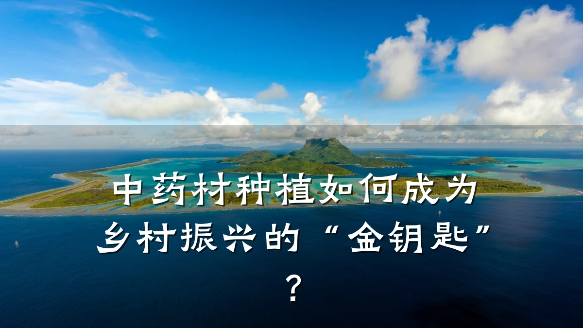 中药材种植如何成为乡村振兴的“金钥匙”?