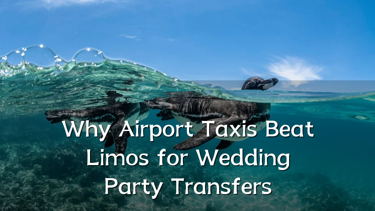 Why Airport Taxis Beat Limos for Wedding Party Transfers