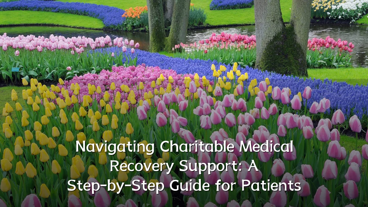 Navigating Charitable Medical Recovery Support: A Step-by-Step Guide for Patients