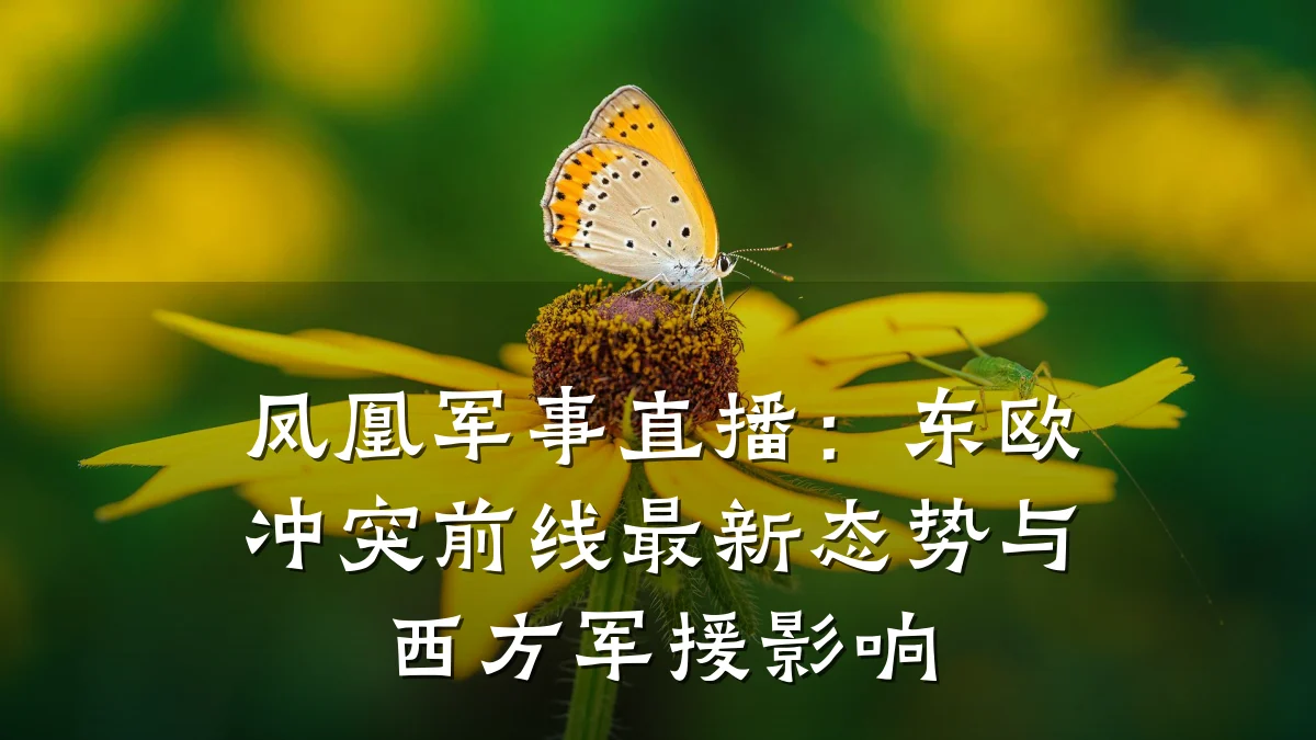 凤凰军事直播:东欧冲突前线最新态势与西方军援影响