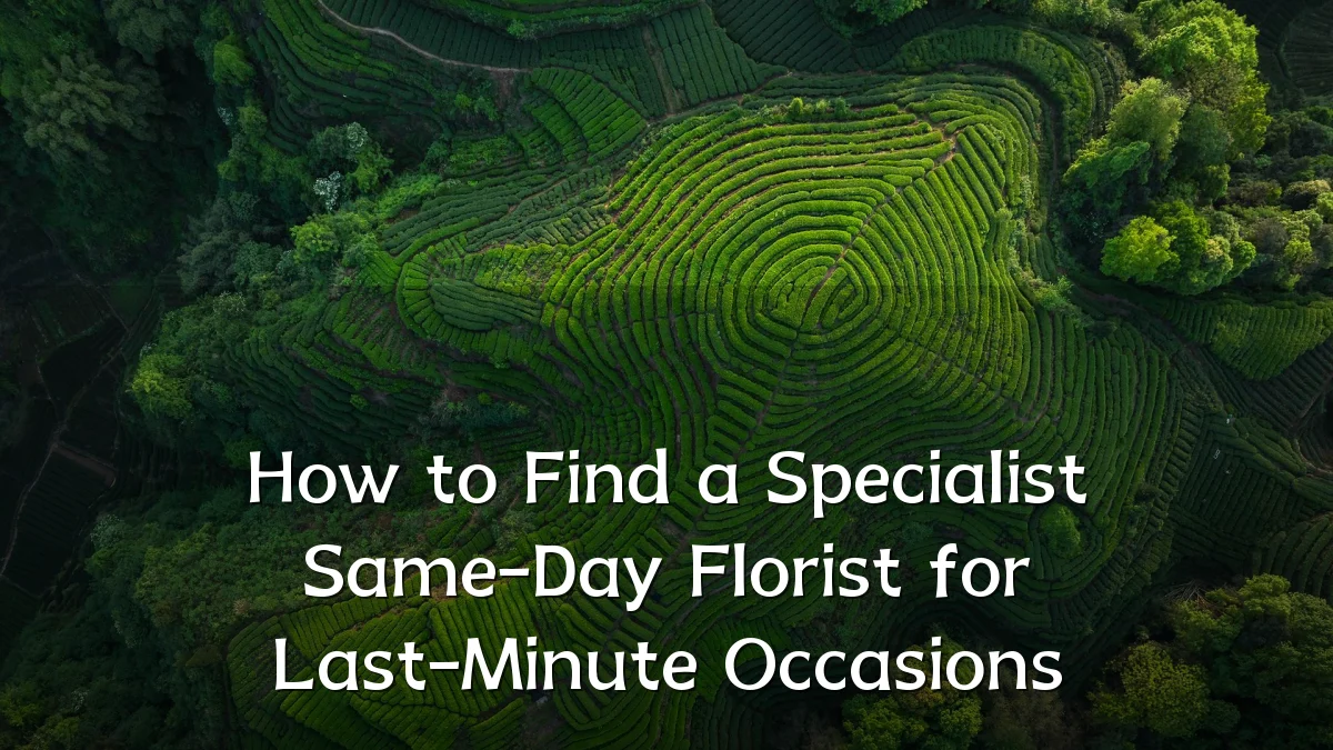 How to Find a Specialist Same-Day Florist for Last-Minute Occasions