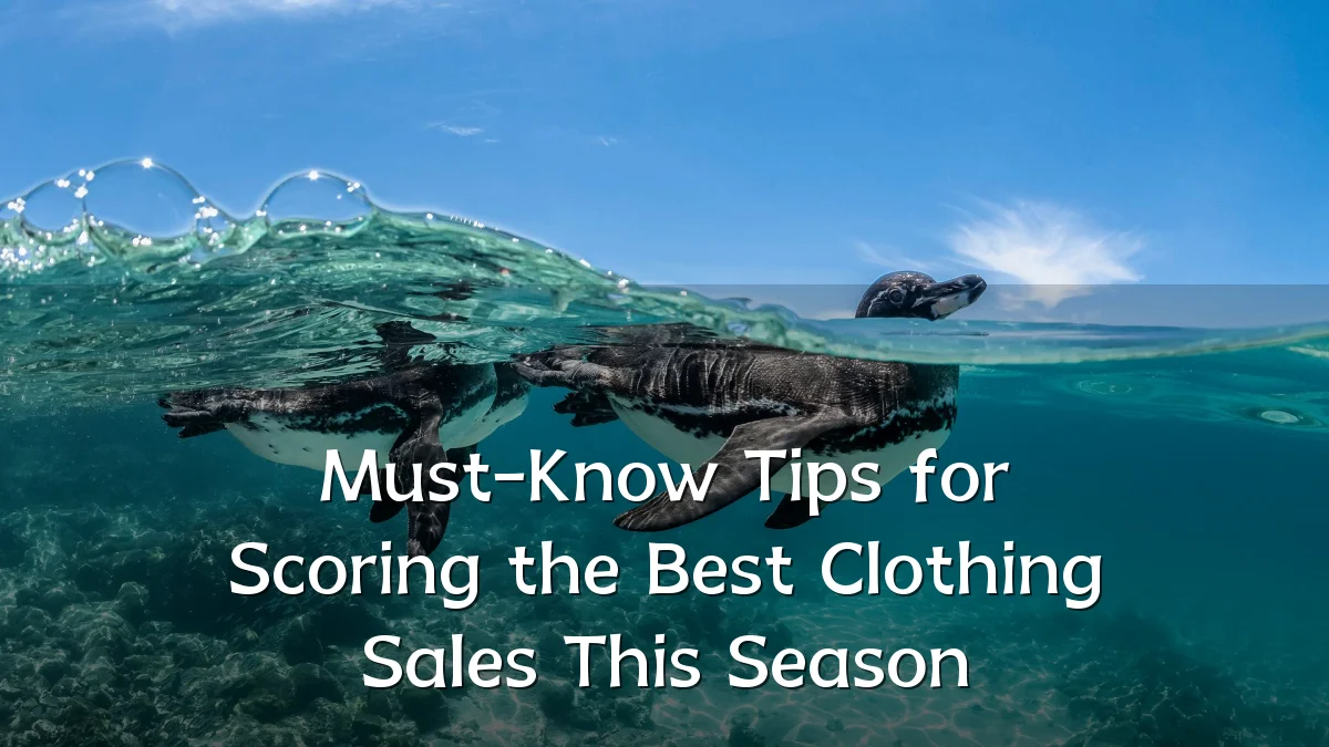 Must-Know Tips for Scoring the Best Clothing Sales This Season