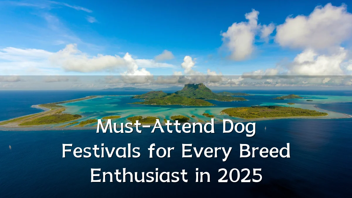 Must-Attend Dog Festivals for Every Breed Enthusiast in 2025