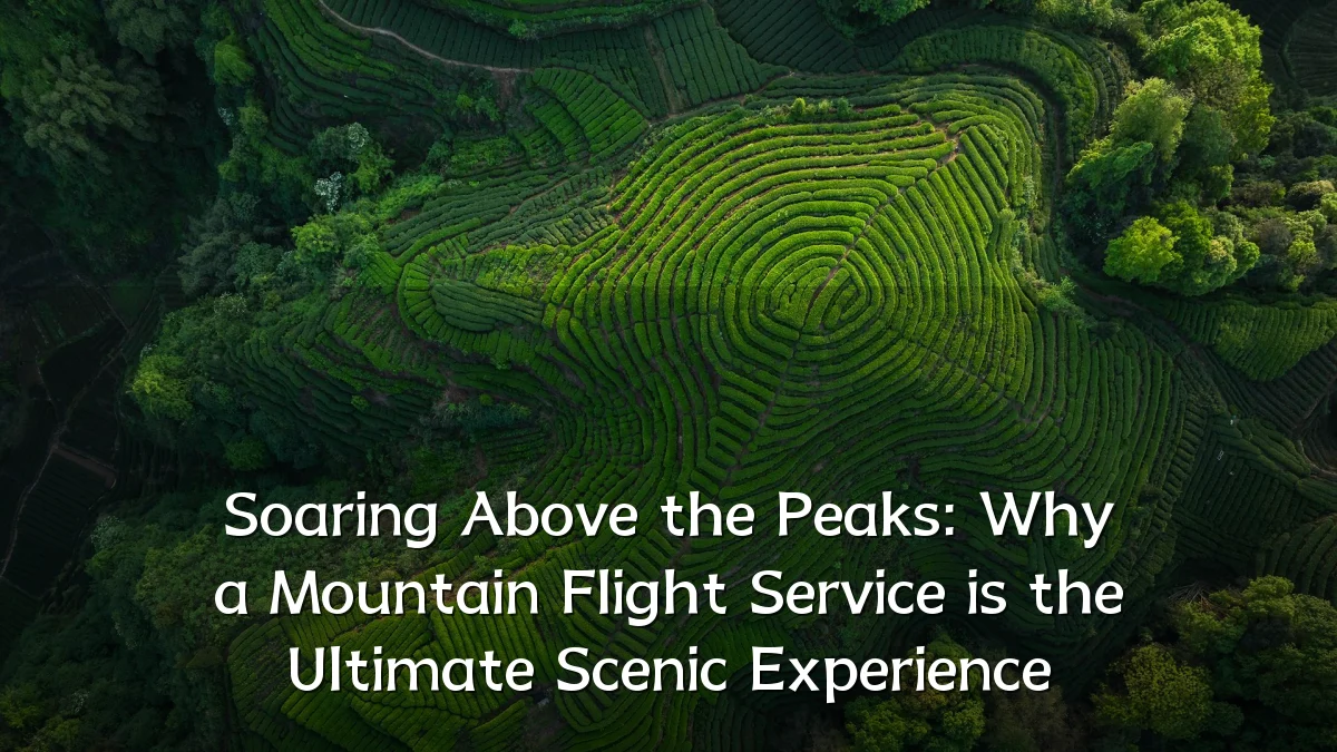 Soaring Above the Peaks: Why a Mountain Flight Service is the Ultimate Scenic Experience