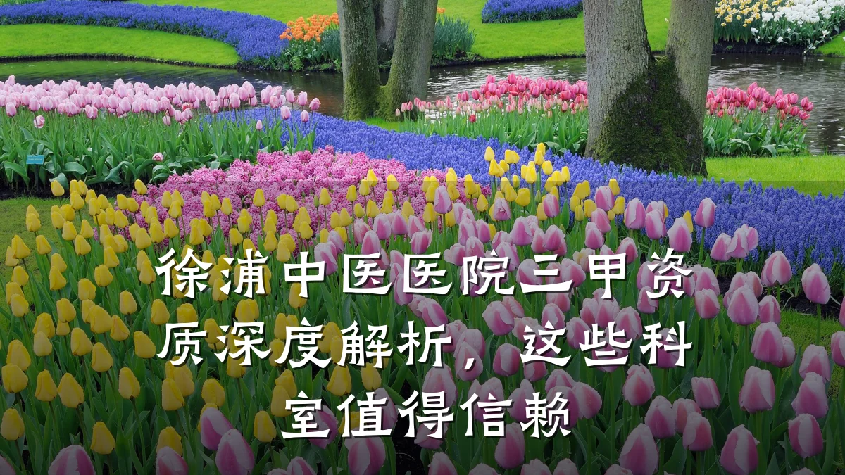 徐浦中医医院三甲资质深度解析,这些科室值得信赖