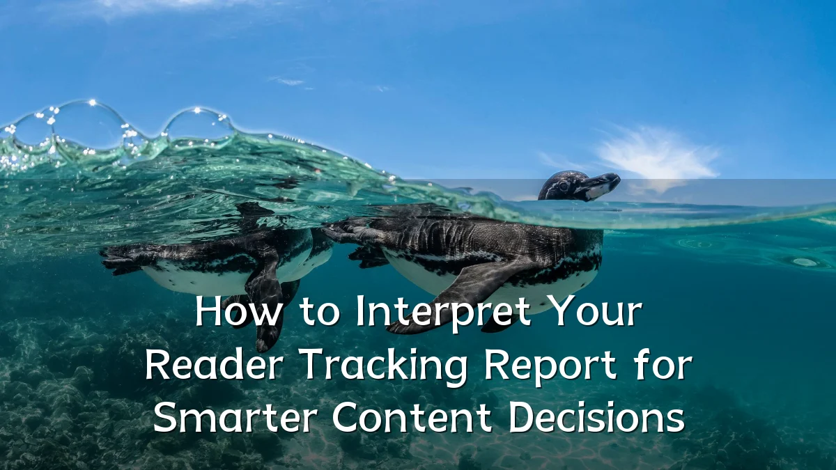 How to Interpret Your Reader Tracking Report for Smarter Content Decisions