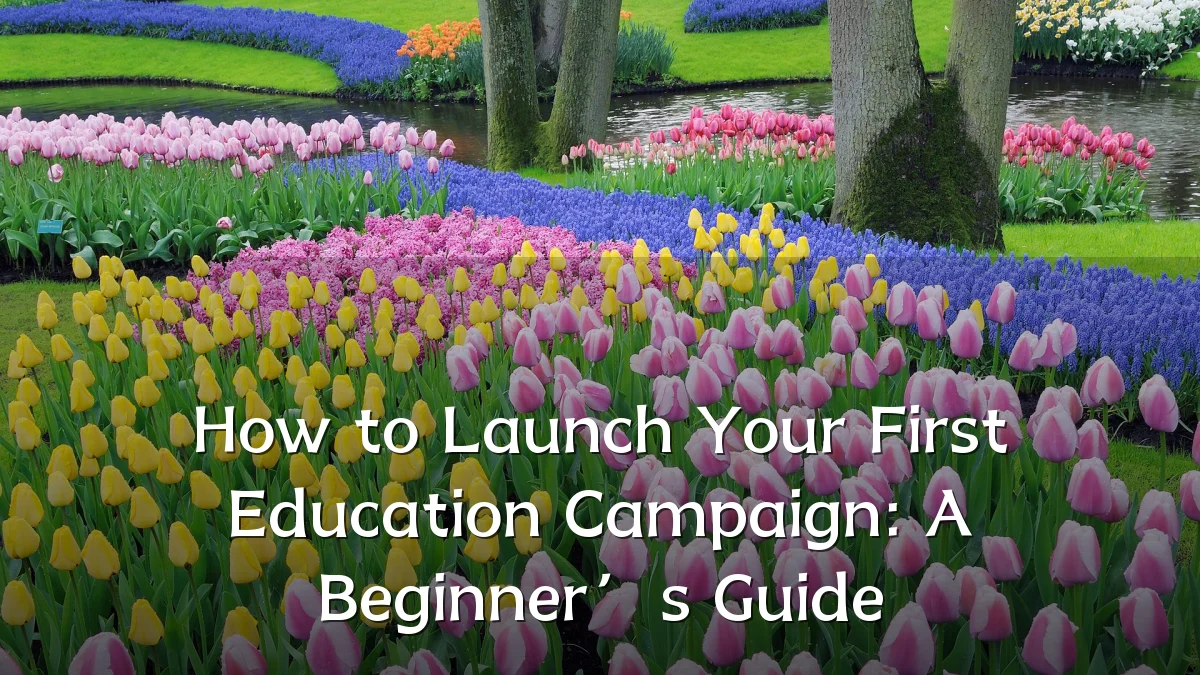How to Launch Your First Education Campaign: A Beginner’s Guide