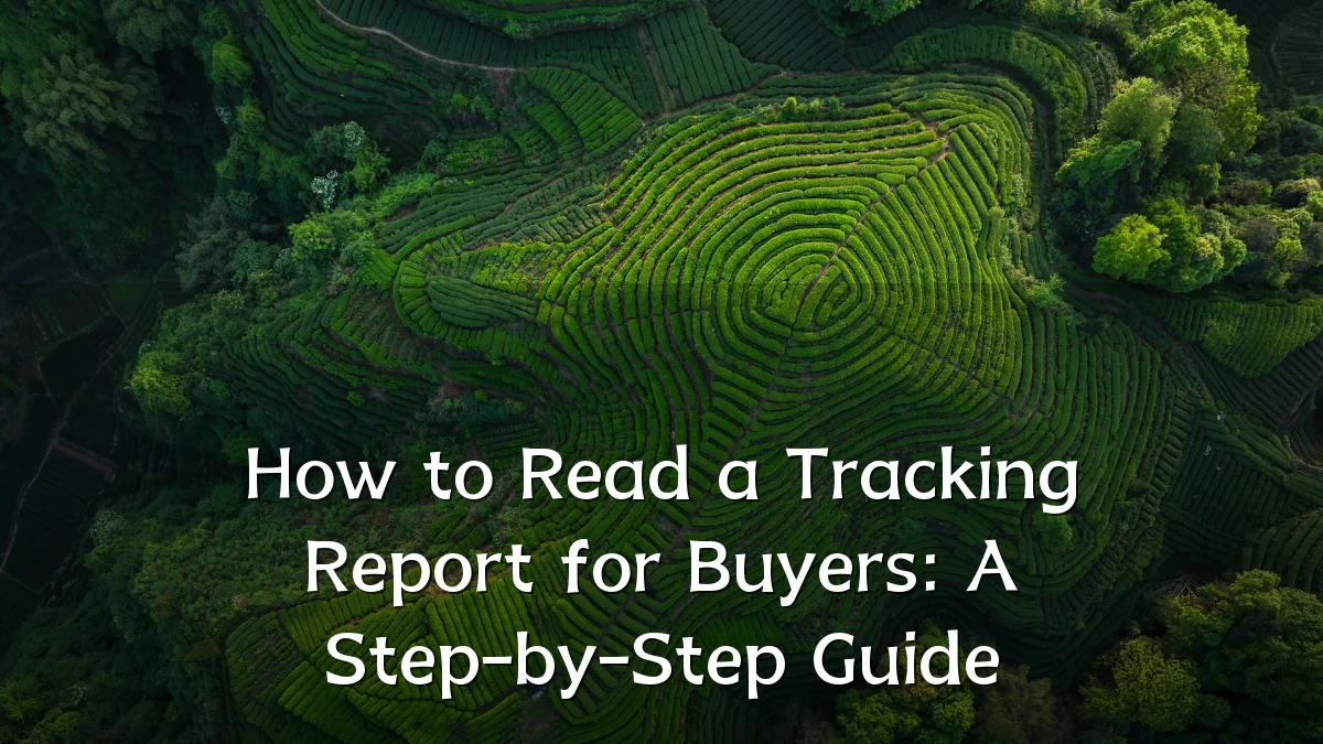 How to Read a Tracking Report for Buyers: A Step-by-Step Guide