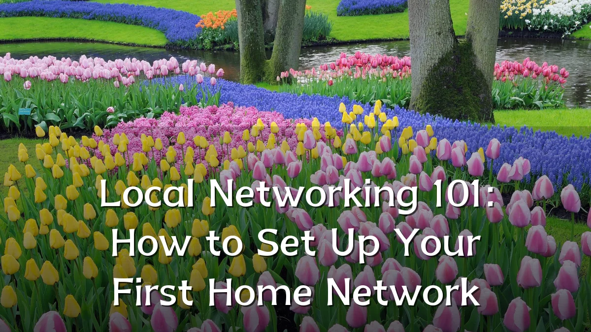 Local Networking 101: How to Set Up Your First Home Network