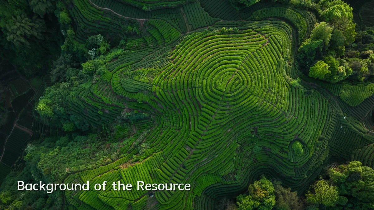 Background of the Resource