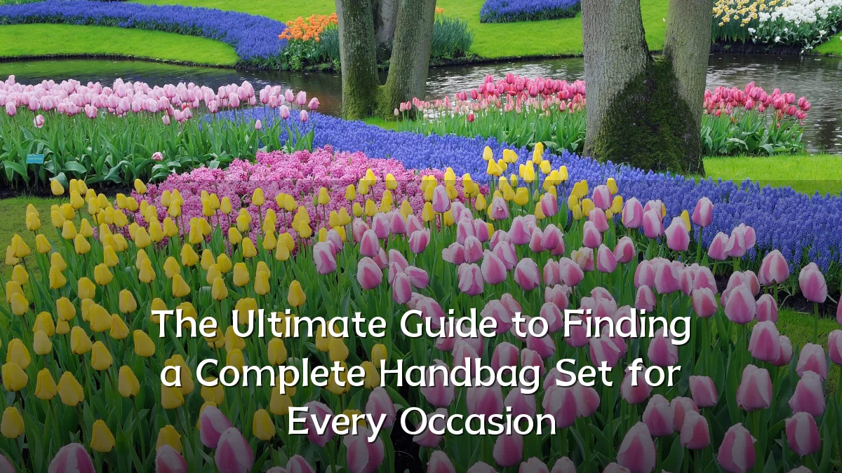 The Ultimate Guide to Finding a Complete Handbag Set for Every Occasion