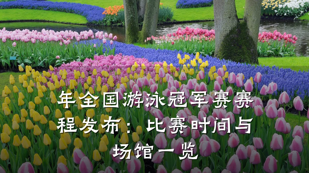 年全国游泳冠军赛赛程发布:比赛时间与场馆一览