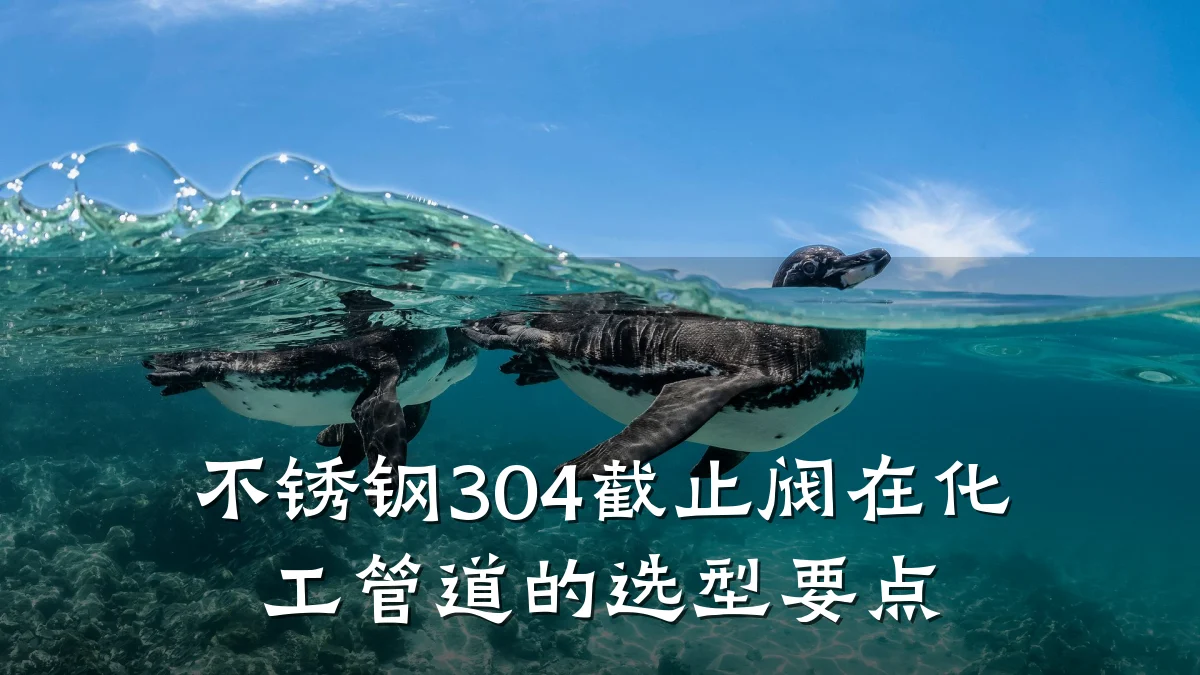 不锈钢304截止阀在化工管道的选型要点