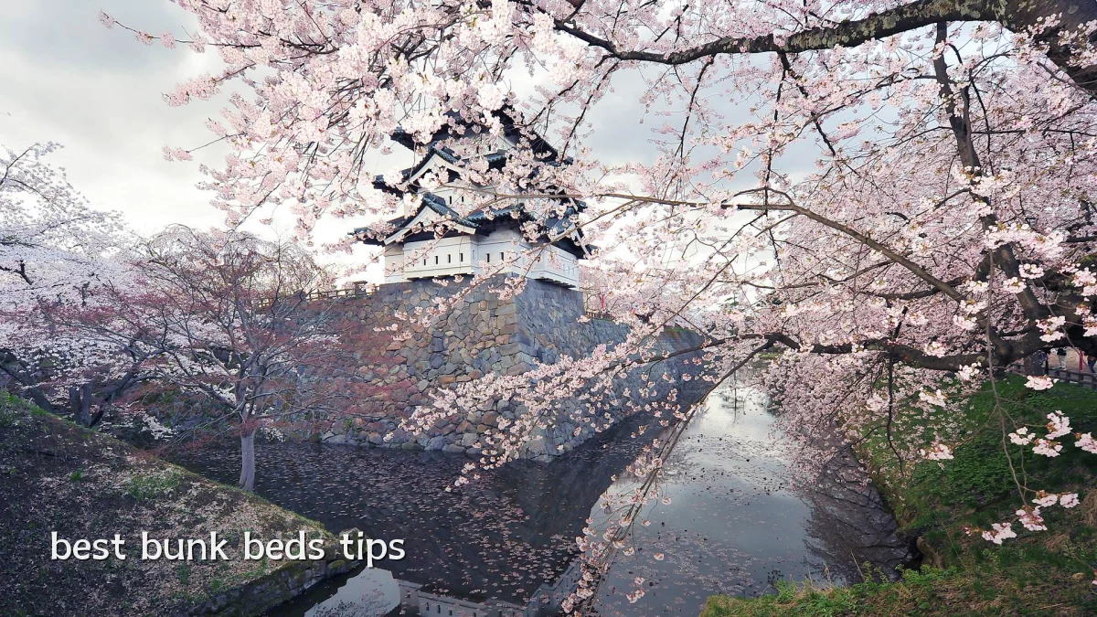 best bunk beds tips