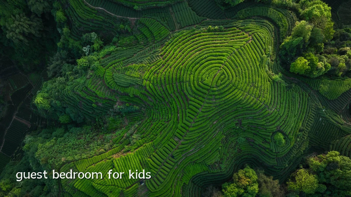 guest bedroom for kids