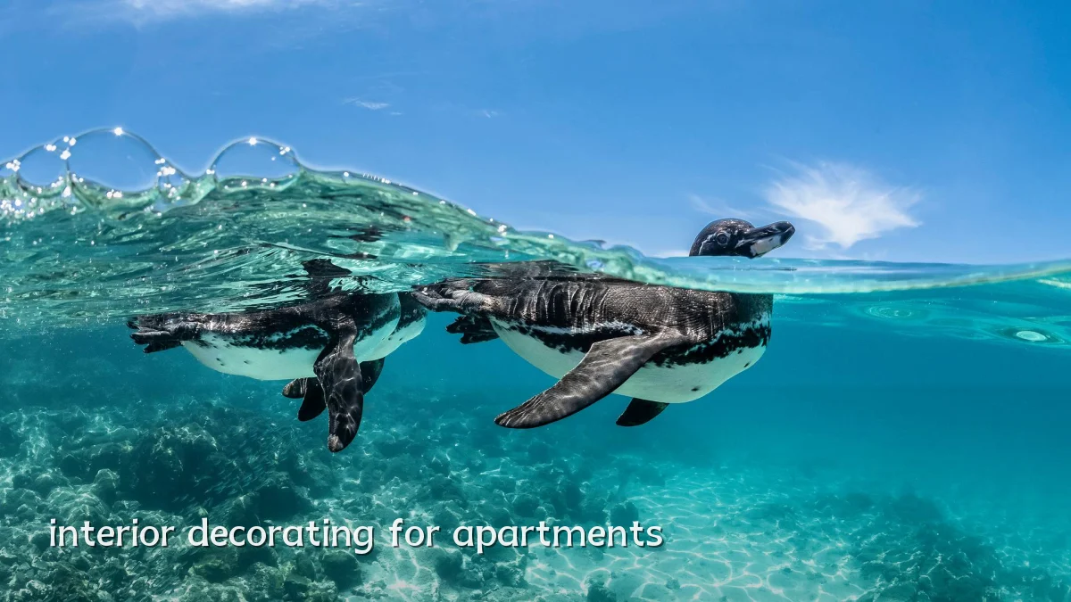 interior decorating for apartments