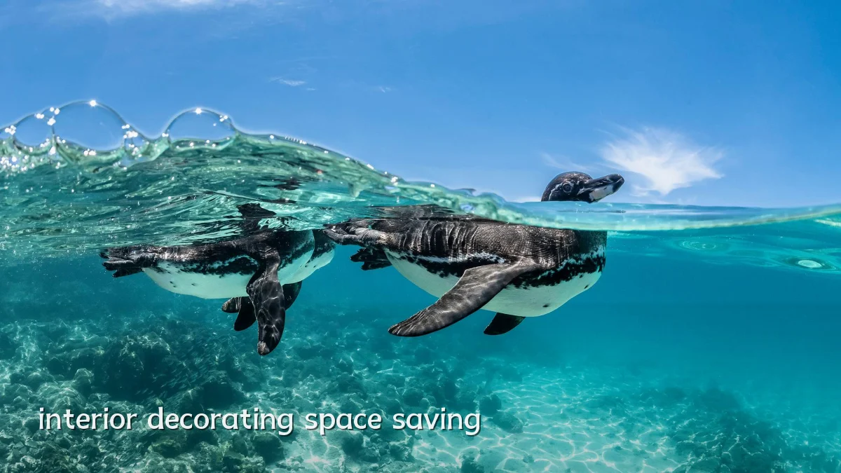 interior decorating space saving