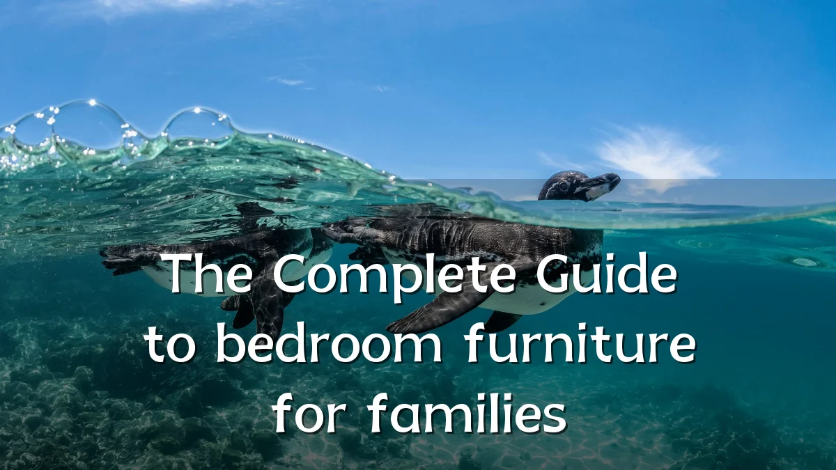 The Complete Guide to bedroom furniture for families