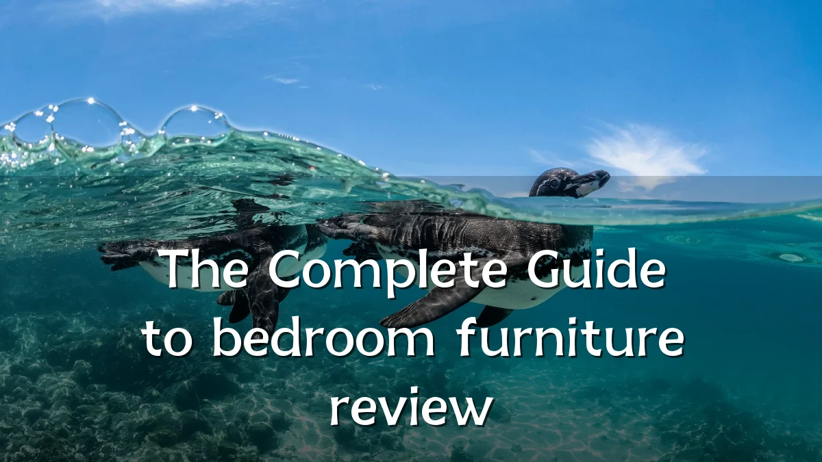 The Complete Guide to bedroom furniture review