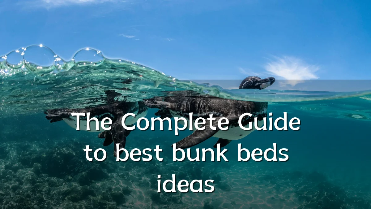The Complete Guide to best bunk beds ideas