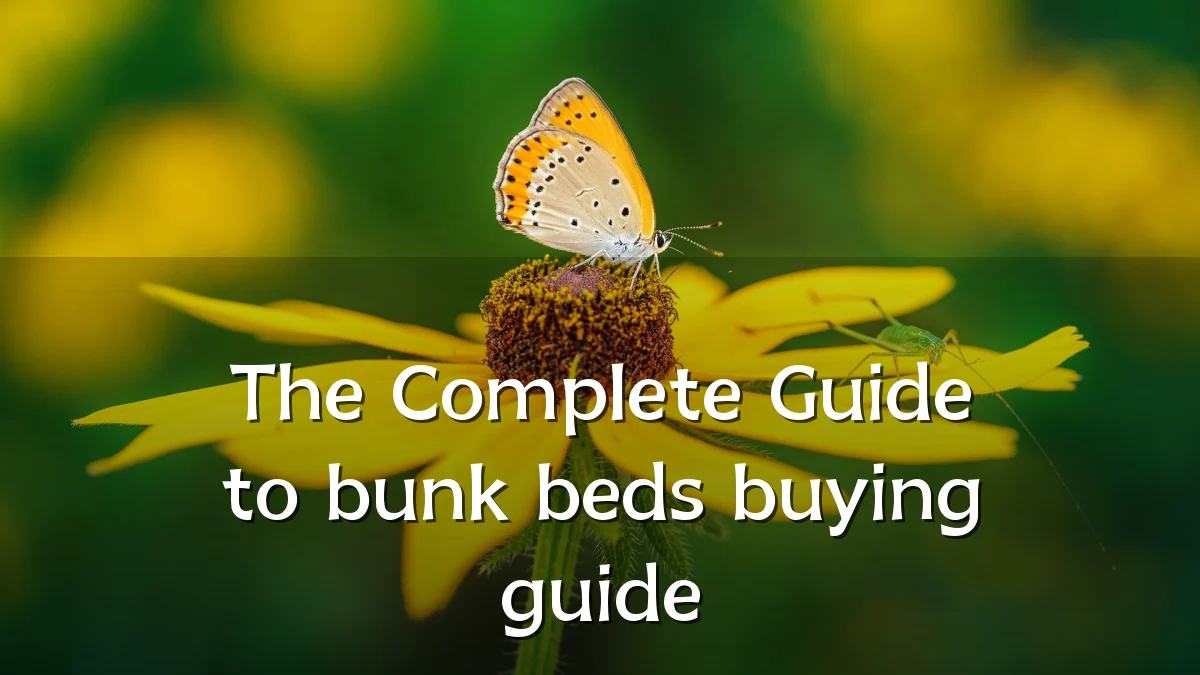 The Complete Guide to bunk beds buying guide