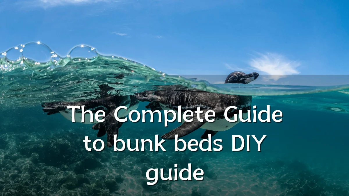 The Complete Guide to bunk beds DIY guide