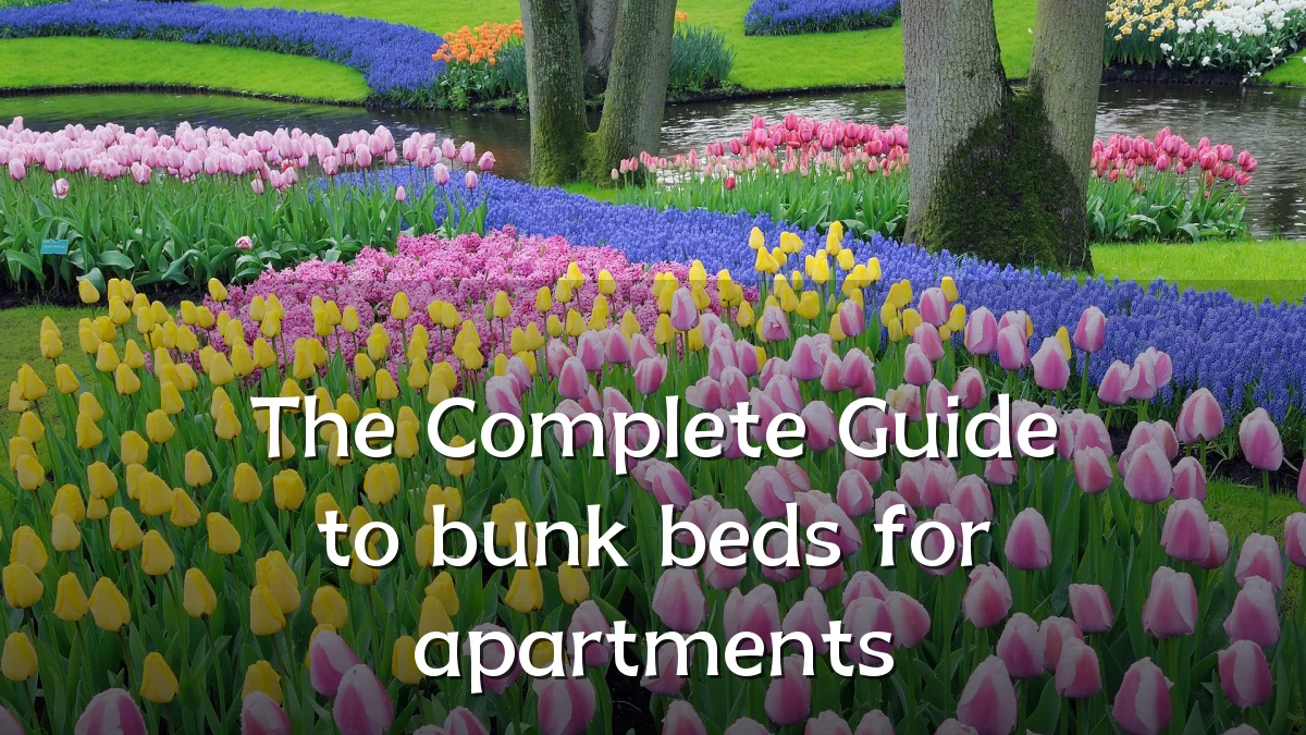 The Complete Guide to bunk beds for apartments