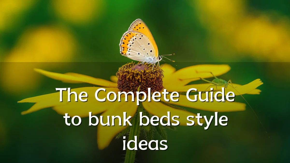 The Complete Guide to bunk beds style ideas