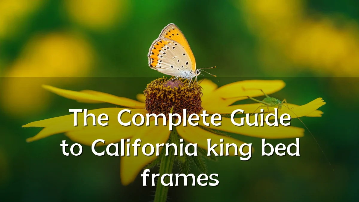 The Complete Guide to California king bed frames