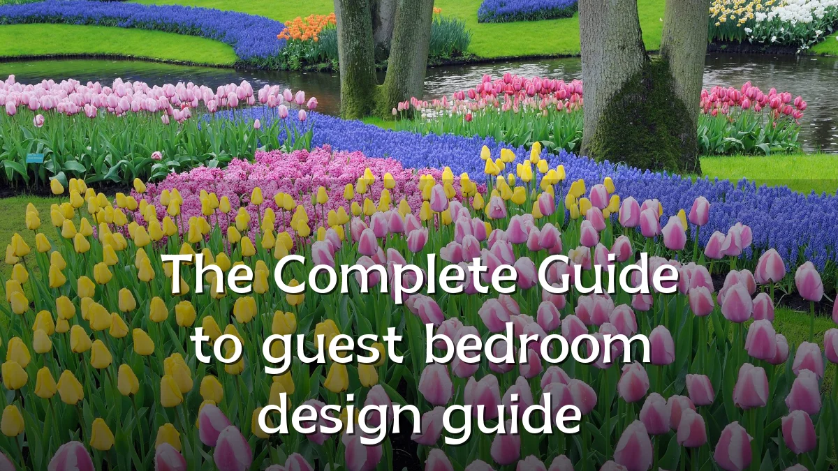 The Complete Guide to guest bedroom design guide