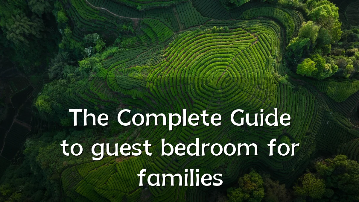 The Complete Guide to guest bedroom for families