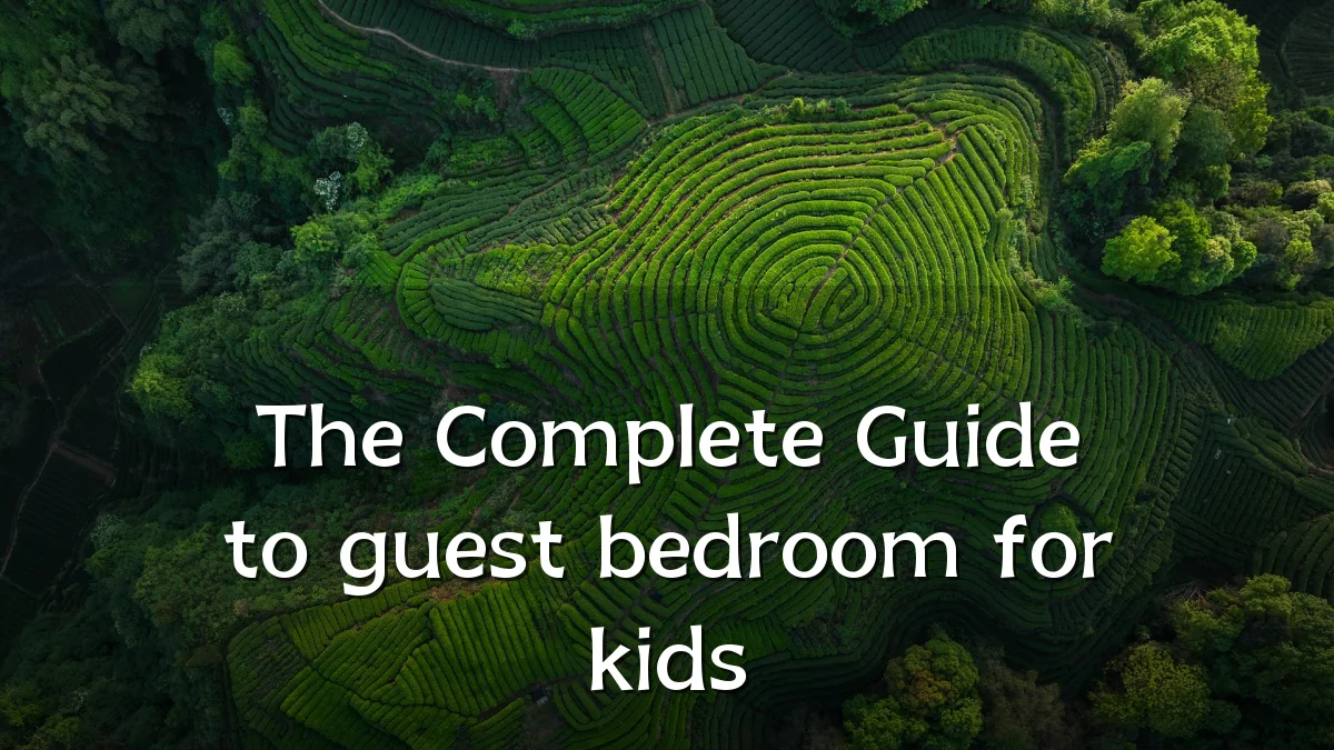 The Complete Guide to guest bedroom for kids