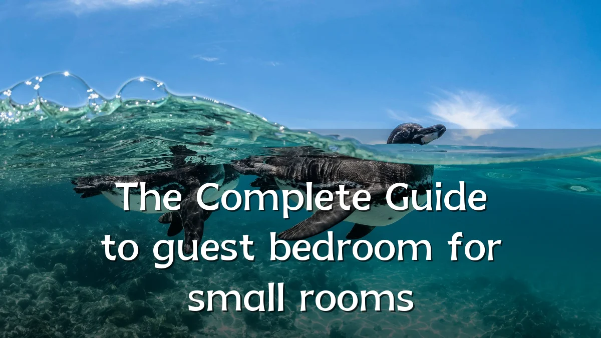 The Complete Guide to guest bedroom for small rooms