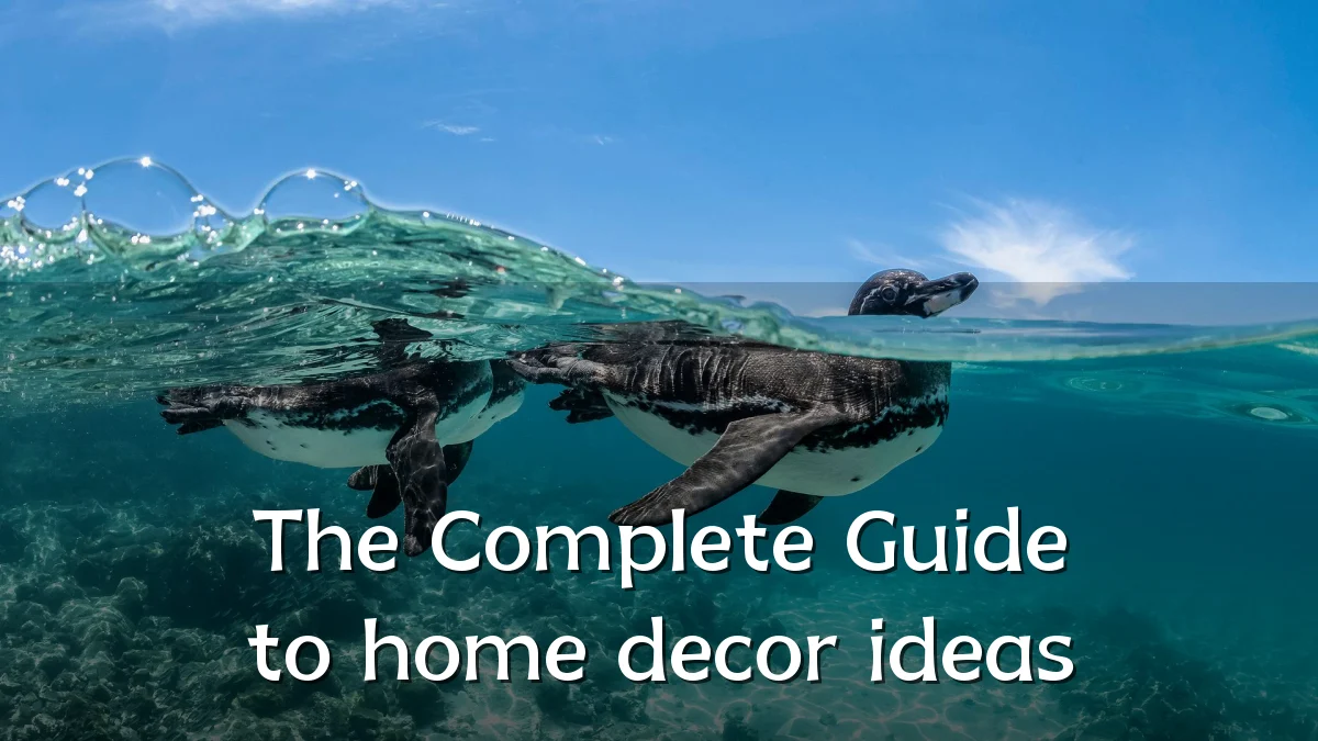 The Complete Guide to home decor ideas