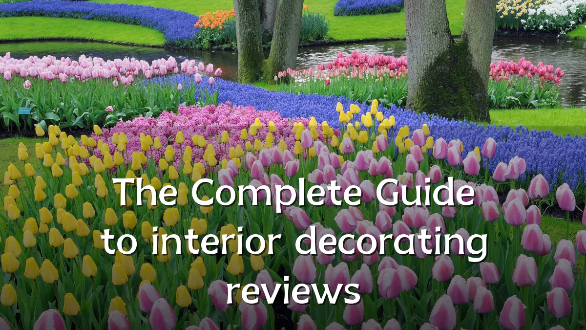 The Complete Guide to interior decorating reviews