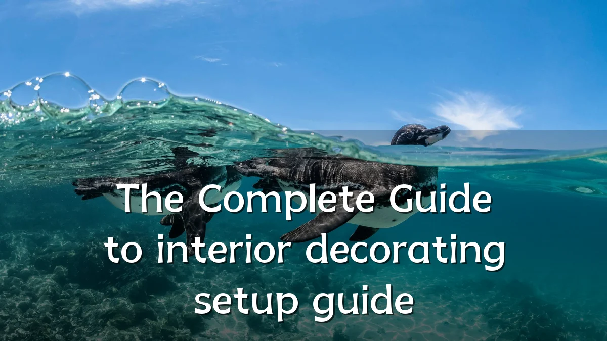 The Complete Guide to interior decorating setup guide