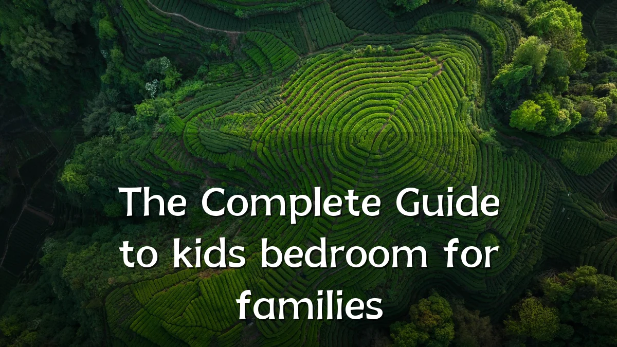 The Complete Guide to kids bedroom for families