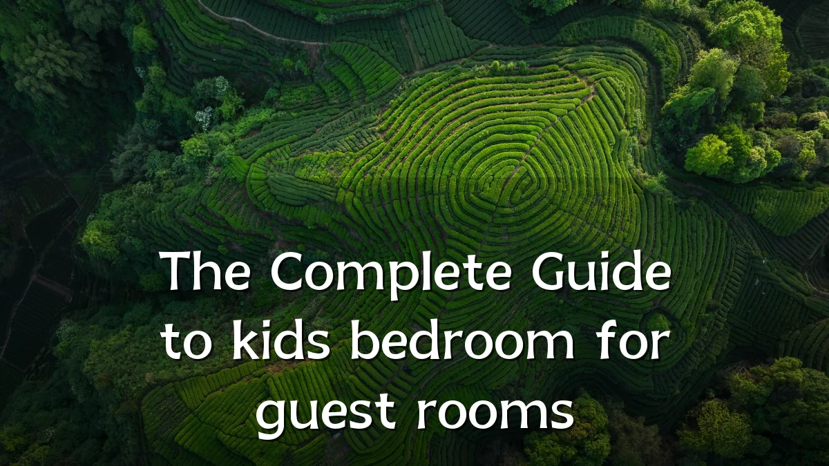 The Complete Guide to kids bedroom for guest rooms