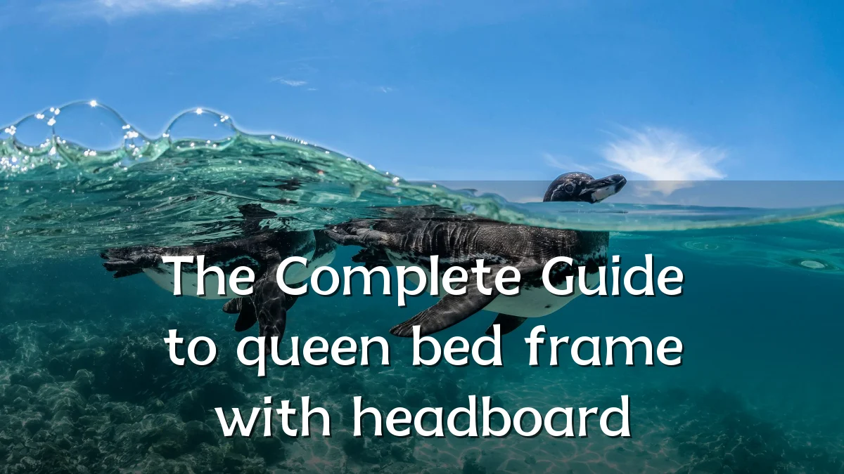 The Complete Guide to queen bed frame with headboard
