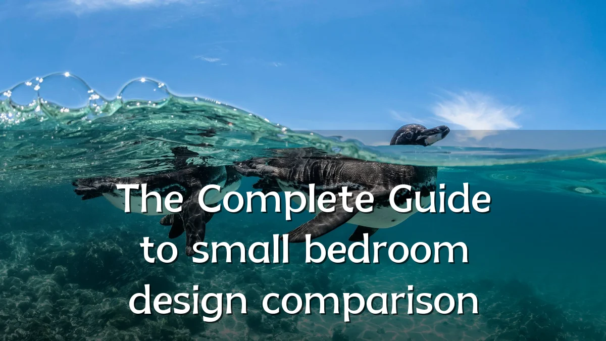 The Complete Guide to small bedroom design comparison
