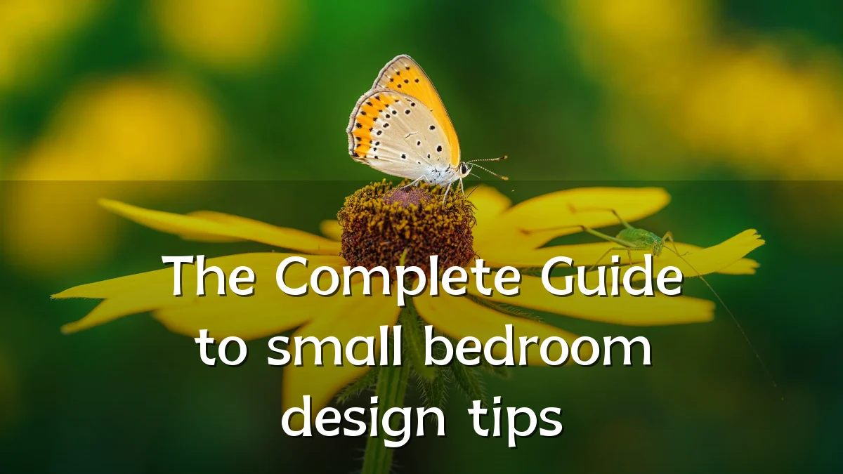 The Complete Guide to small bedroom design tips
