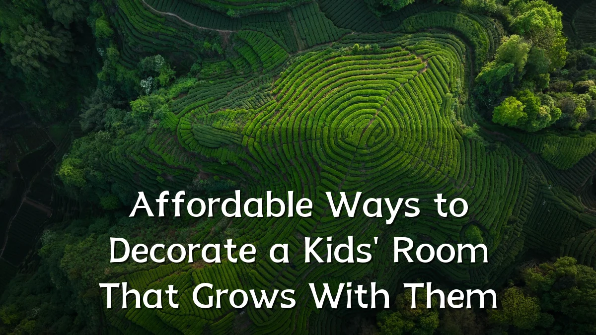 Affordable Ways to Decorate a Kids' Room That Grows With Them