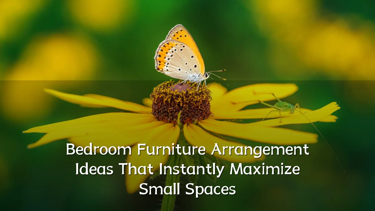 Bedroom Furniture Arrangement Ideas That Instantly Maximize Small Spaces