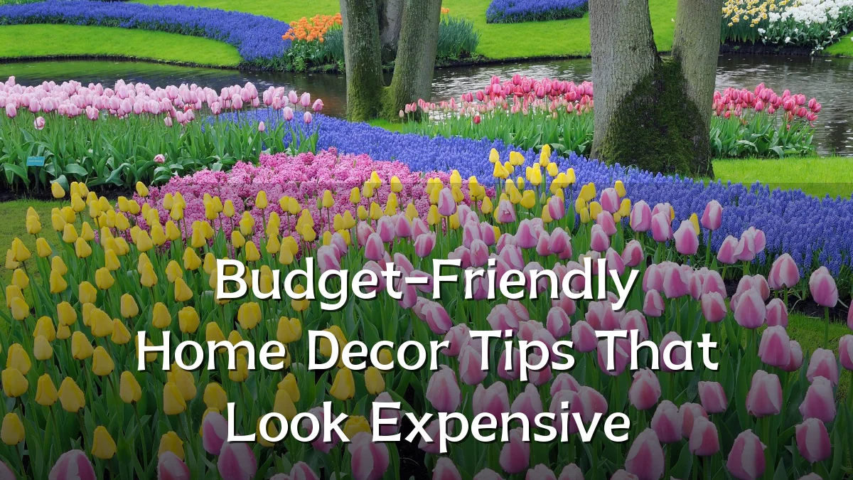 Budget-Friendly Home Decor Tips That Look Expensive