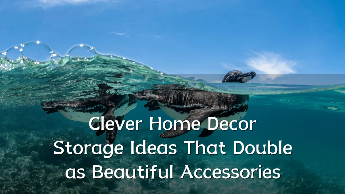 Clever Home Decor Storage Ideas That Double as Beautiful Accessories