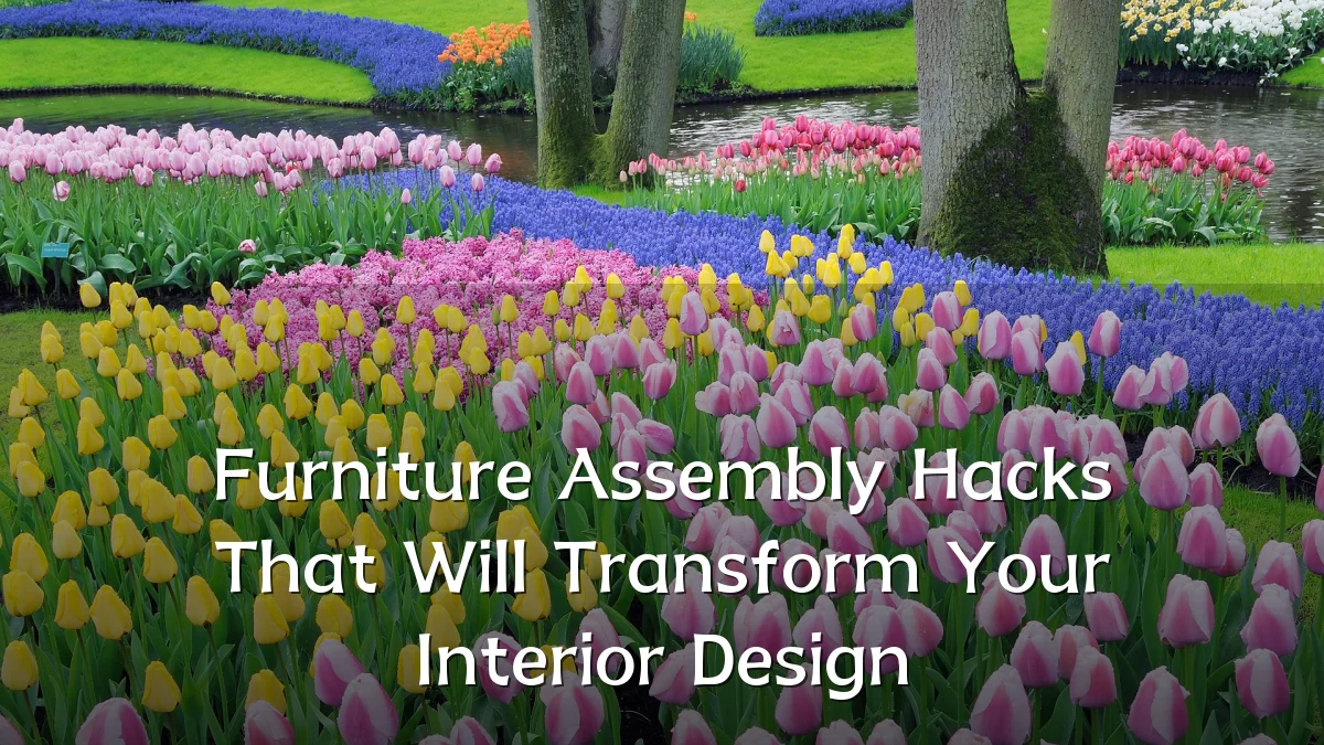 Furniture Assembly Hacks That Will Transform Your Interior Design